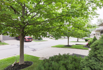 Refined image lawn and landscape, softscapes, snow & ice, lawn cutting & maintenance, residential & commercial lawn care, dunnville, ON